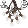 Picture of 25 G30 Globe Light String Set with Clear Bulbs on Brown Wire