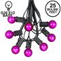 Picture of 25 G30 Globe Light String Set with Purple Satin Bulbs on Black Wire