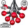 Picture of 100 G50 Globe Light String Set with Red Bulbs on Black Wire