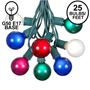 Picture of 25 G50 Globe Light String Set with Assorted Bulbs on Green Wire