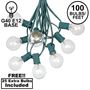 Picture of 100 G40 Globe String Light Set with Clear Bulbs on Green Wire