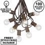 Picture of 100 G30 Globe String Light Set with Clear Bulbs on Brown Wire