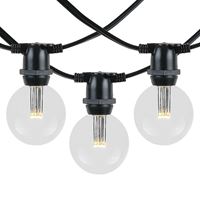Picture for category G50 Heavy Duty String Lights