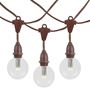Picture of 80 Warm White G50 LED Suspended Commercial Grade Intermediate Base Light Set - Brown Wire