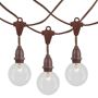 Picture of 25 Clear G50 Suspended Commercial Grade Intermediate Base Light Set - Brown Wire