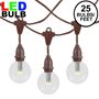 Picture of 25 Warm White G50 LED Suspended Commercial Grade Intermediate Base Light Set - Brown Wire