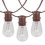 Picture of 25 Clear S14 Commercial Grade Light String Set on 37.5' of Brown Wire 