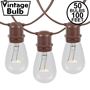 Picture of 50 Clear S14 Commercial Grade Light String Set on 100' of Brown Wire 
