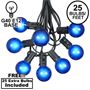 Picture of 100 G40 Globe String Light Set with Blue Bulbs on Black Wire