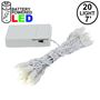 Picture of 20 LED Battery Operated Lights Warm White White Wire