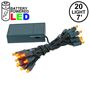 Picture of 20 LED Battery Operated Lights Amber/Orange Green Wire