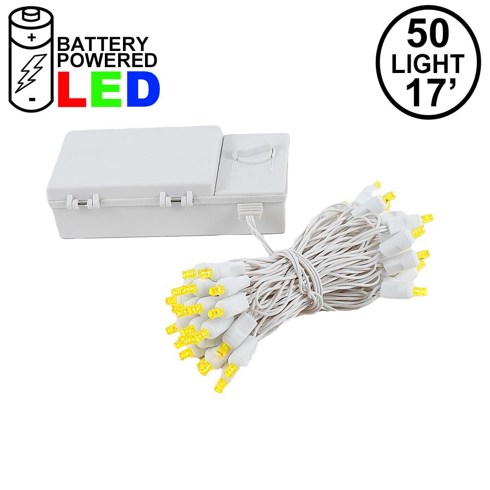 Novelty LED String Lights with Battery Pack Power Unit