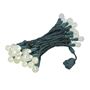 Picture of G20 50 LED Bubble Warm White 6" Spacing Green Wire