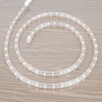 Picture for category Incandescent Rope Lights
