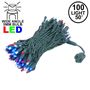 Picture of Commercial Grade Wide Angle 100 LED Red White Blue 50' Long on Green Wire