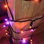 Picture of Commercial Grade Wide Angle 70 LED Orange/Purple 23.5' Long on Black Wire