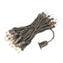 Picture of 50 Light 25' Long Brown Wire Mini Christmas Lights