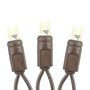Picture of 50 LED Battery Operated Lights Warm White Brown Wire