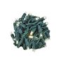Picture of Twinkle LED Christmas Lights 50 LED Warm White 25' Long Green Wire
