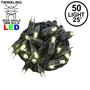 Picture of Twinkle LED Christmas Lights 50 LED Warm White 25' Black Wire