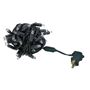 Picture of Twinkle LED Christmas Lights 50 LED Warm White 25' Black Wire