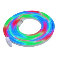Picture for category RGB Neon Flex