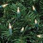 Picture of Clear Christmas Mini Lights 100 Light 50 Feet Long on Green Wire