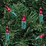 Picture of Pink 50 Light 11' Long Green Wire Christmas Mini Lights