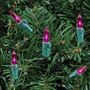 Picture of Purple 50 Light 11' Long Green Wire Christmas Mini Lights