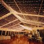 Picture of Commercial Grade Wide Angle 50 LED Warm White 25' Long White Wire