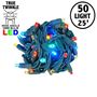 Picture of *NEW* True Twinkle LED Christmas Lights 50 LED Multi Color 25' Long Green Wire