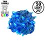 Picture of *NEW* True Twinkle LED Christmas Lights 50 LED Blue 25' Long Green Wire