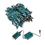 Picture of 100 LED RGB Wide Angle Mini Light Set Green Wire w/Multi-Function Remote