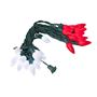 Picture of 25 Red & Pure White Ceramic LED C9 Pre-Lamped String Lights Green Wire