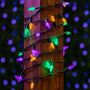 Picture of Purple Green and Yellow 70 LED C6 Strawberry Mini Lights Commercial Grade on Green Wire