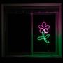 Picture of 29" Pink Flower LED Rope Light Motif