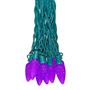 Picture of 25 Purple C9 LED Pre-Lamped String Lights Green Wire