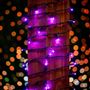 Picture of Commercial Grade Wide Angle 50 LED Purple 25' Long on Black Wire