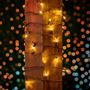 Picture of 50 LED Warm White LED Christmas Lights 11' Long on Brown Wire