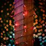 Picture of 50 LED Red LED Christmas Lights 11' Long on Brown Wire