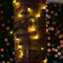 Picture of 35 Light Warm White LED Mini Lights 11.5' Long on Green Wire