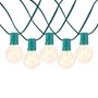 Picture of 50 LED Filament G40 Globe String Light Set with Warm White Bulbs on Green Wire