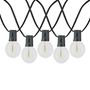 Picture of 25 LED Filament G50 Globe String Light Set with Warm White Bulbs on Black Wire