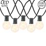 Picture of 67 LED Filament G50 Globe String Light Set with Warm White Bulbs on Black Wire