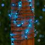 Picture of Commercial Grade Wide Angle 50 LED Teal 25' Long on Green Wire