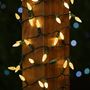 Picture of Warm White 70 LED C6 Strawberry Mini Lights Commercial Grade on Green Wire