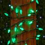 Picture of Green 70 LED C6 Strawberry Mini Lights Commercial Grade on Green Wire