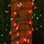 Picture of Red 70 LED C6 Strawberry Mini Lights Commercial Grade on Green Wire