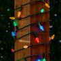 Picture of Multi 70 LED C6 Strawberry Mini Lights Commercial Grade on Green Wire
