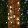 Picture of Pure White 70 LED C6 Strawberry Mini Lights Commercial Grade on Green Wire